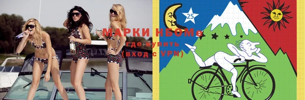 mix Богородицк
