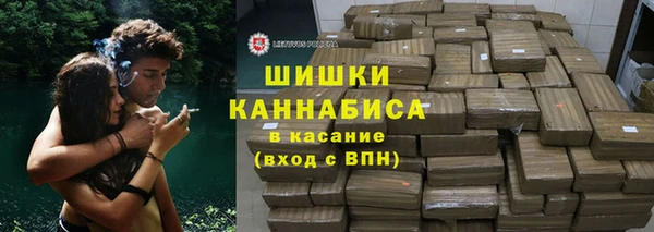 индика Богородск