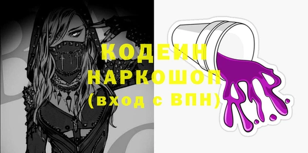 индика Богородск