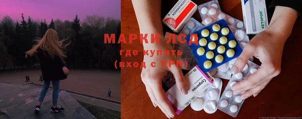 индика Богородск