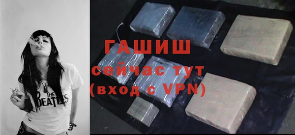 индика Богородск