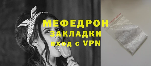 индика Богородск