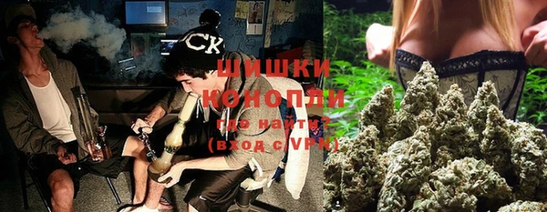 mix Богородицк