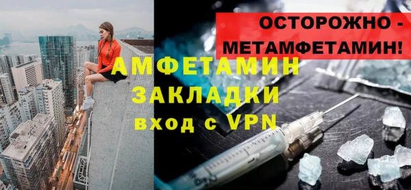 индика Богородск
