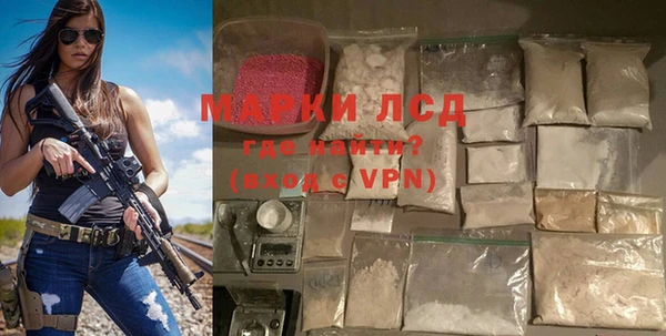 индика Богородск