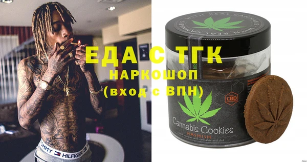 индика Богородск