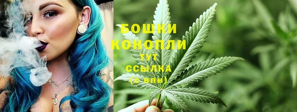 индика Богородск