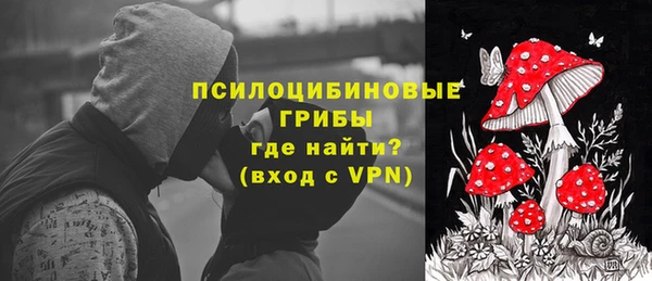 индика Богородск