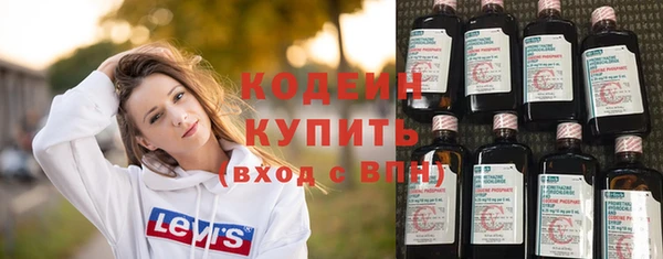 индика Богородск