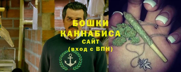 mix Богородицк