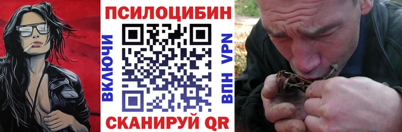 продажа наркотиков  Кола  Галлюциногенные грибы MAGIC MUSHROOMS 